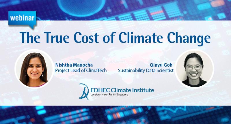 AlterCop29_True_Cost_Climate_Changebis