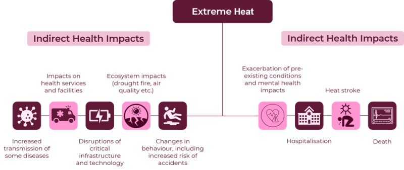 Figure 4 (Source: World Health Organisation):  Extreme heat has broad impacts on individuals, ecosystems, infrastructure and services.