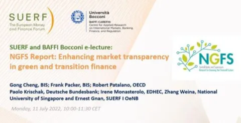 Key findings from “Enhancing market transparency in green and transition finance” report