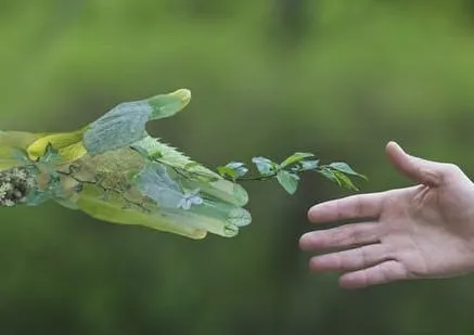 MOOC 3 - The Finance of Climate Change