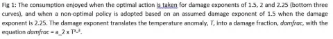 The consumption enjoyed when the optimal action is taken for damage exponents of 1.5, 2 and 2.25 